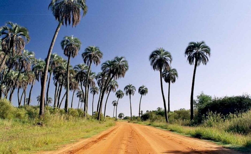 aumenta-la-incertidumbre-en-el-personal-del-parque-el-palmar