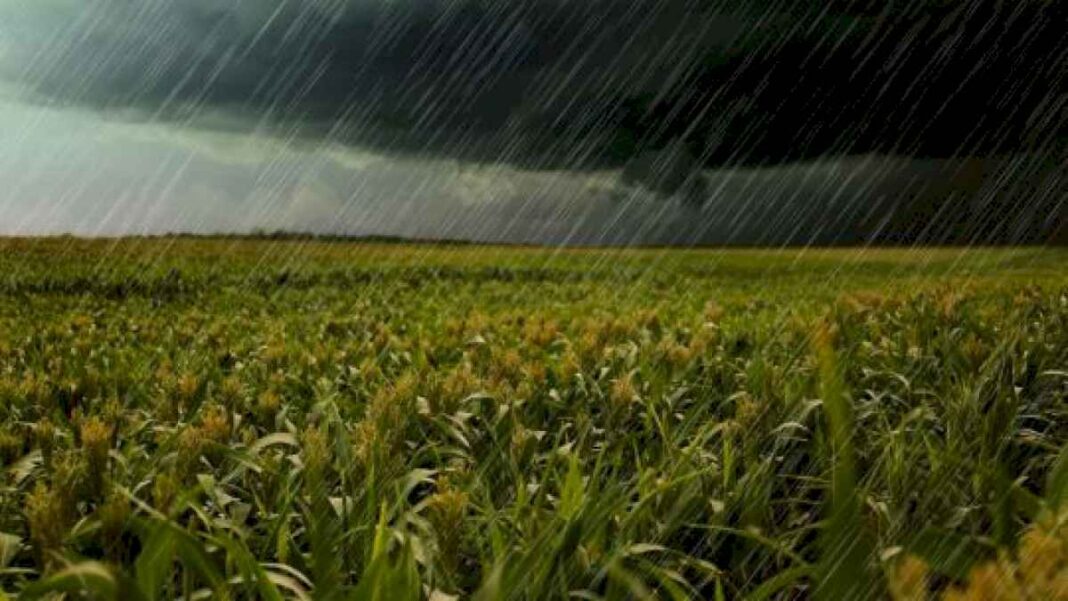 diluvio:-de-donde-viene-el-«olor-a-tierra-mojada»-que-anticipa-la-lluvia?