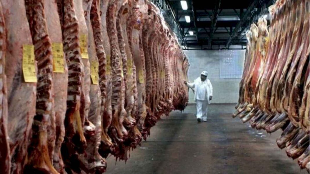 el-consumo-de-carne-se-ubico-en-el-nivel-mas-bajo-en-26-anos