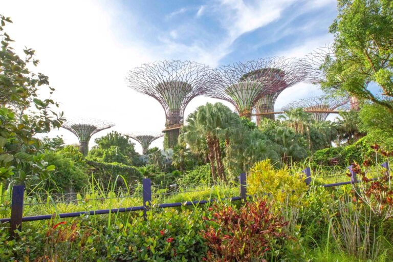 Singapur: el milagro asiático