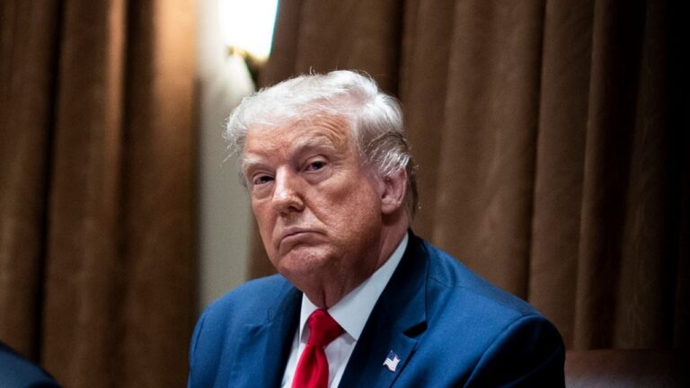 Donald Trump colocó en jaque la política internacional con Sudamérica
