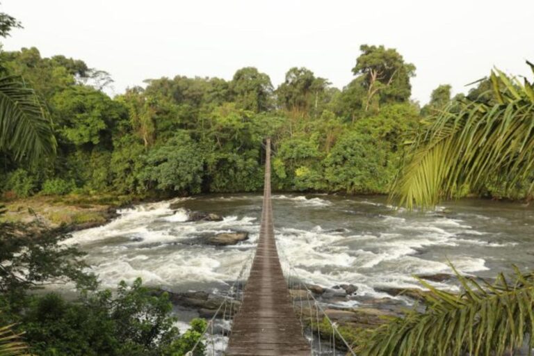 Desafío viral: el acertijo que confunde hasta a las mentes más brillantes