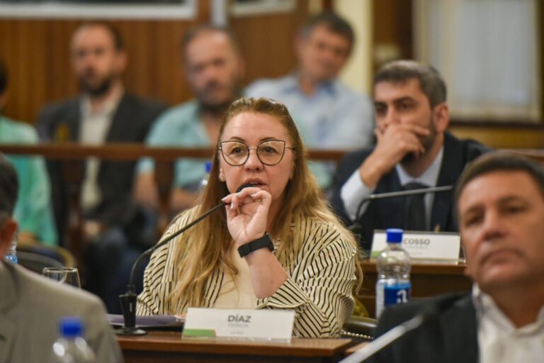 Una senadora propone disolver el Ente Regulador de la Energía