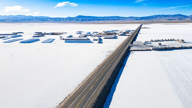 La Cámara Latinoamericana de Litio celebra su quinto aniversario