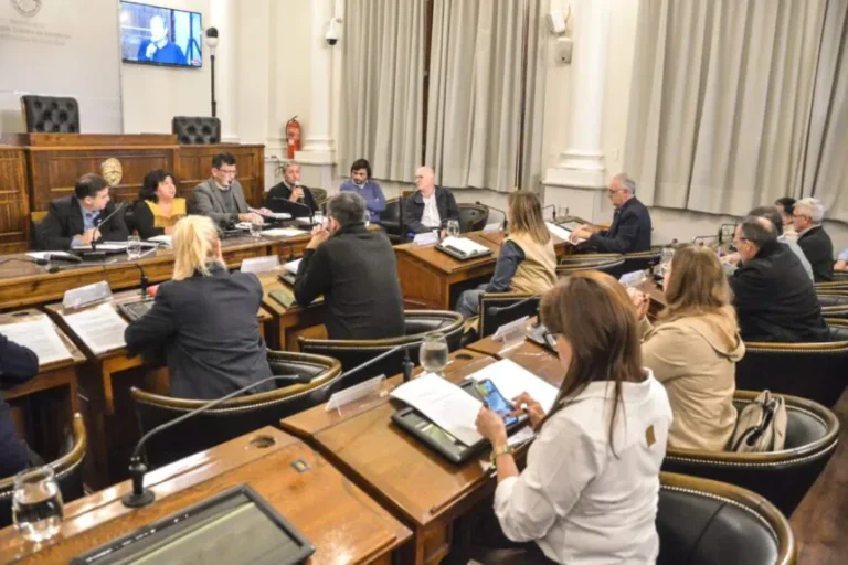 Continúa el debate en comisión del proyecto de creación de la OSER