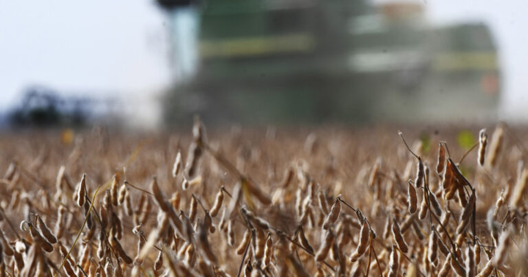 Retenciones al campo: estiman que la recaudación subirá un 25% en el primer semestre