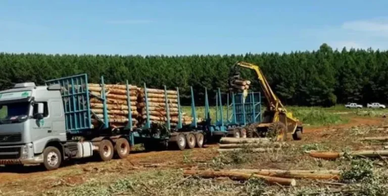 Se promulgó la reglamentación del RINI y se esperan una lluvia de inversiones