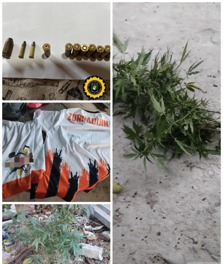 ALLANAMIENTOS EN EL MARCO DE UNA CAUSA POR AMENAZAS