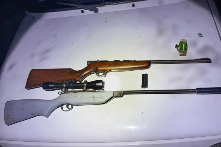 Se incautaron 554 armas de fuego en lo que va de 2025