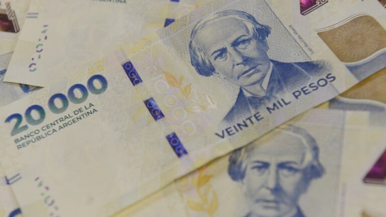 Ricardo López Murphy presentó un proyecto para cambiar la moneda: «Argentum»