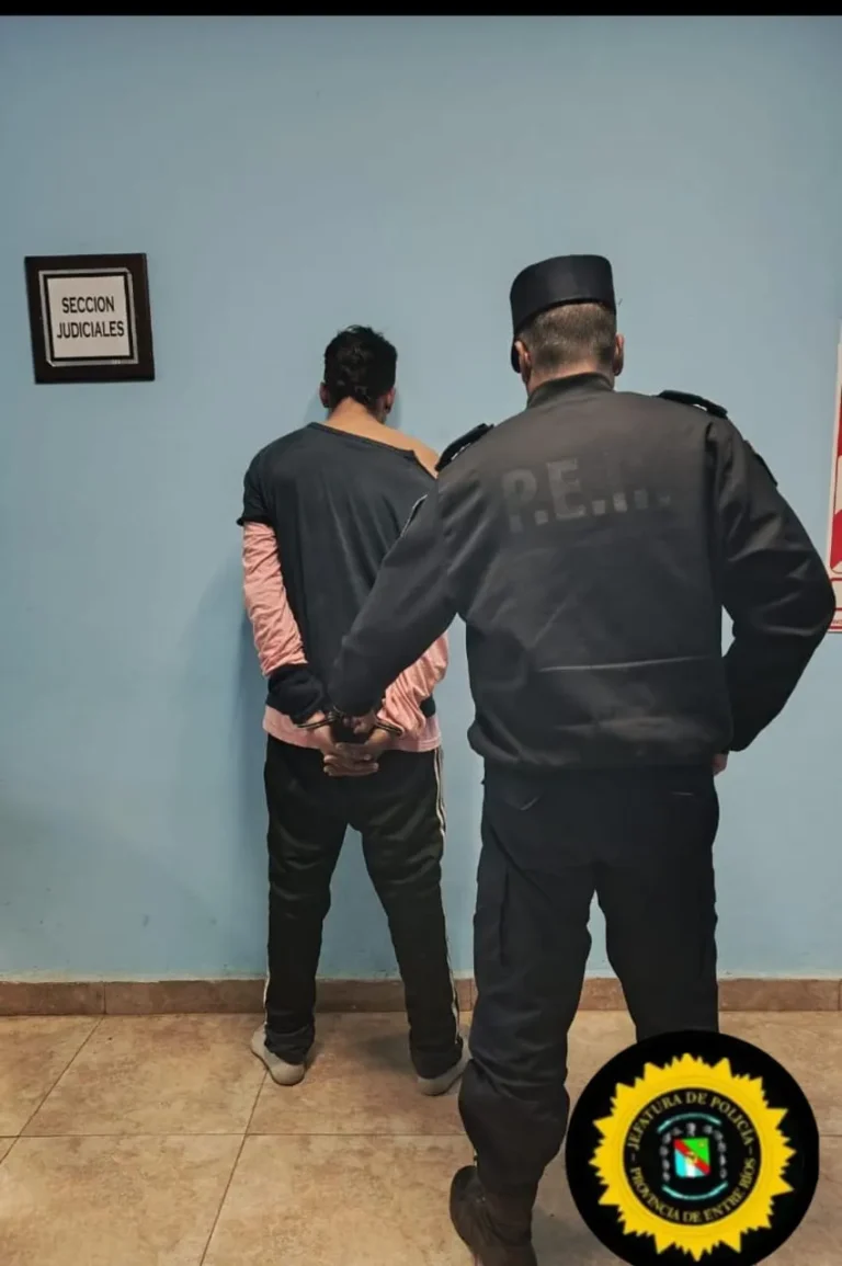 Saltó un alto muro para robarse una bicicleta, pero en el interior el dueño lo agarró a trompadas, luego lo llevó la policía y…