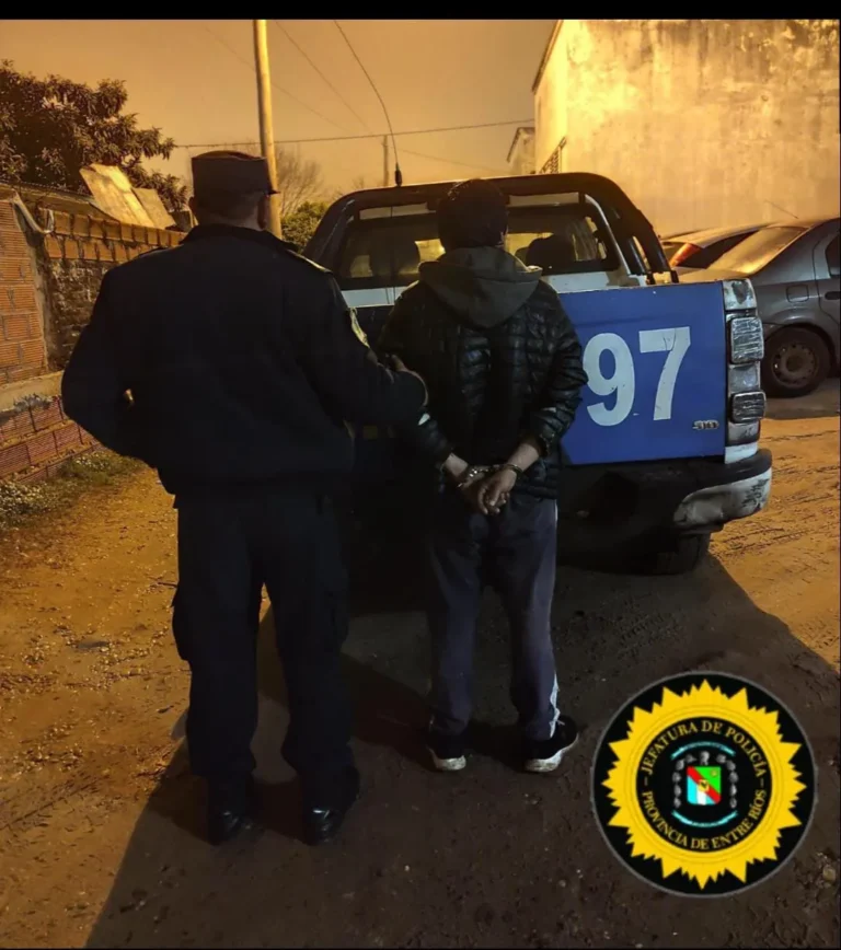 Los vecinos frustraron el robo de un lavarropas y detuvieron al ladrón hasta que se lo llevó la Policía.