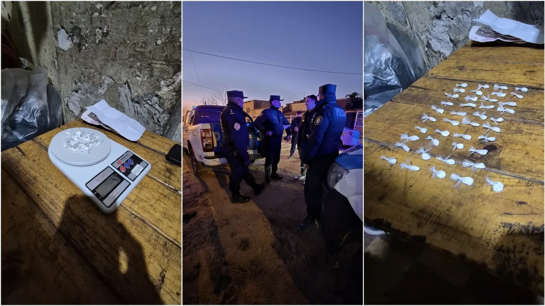 1853373-allanaron-dos-casas-por-un-robo-pero-encontraron-un-kiosco-de-drogas-una-mujer-detenida
