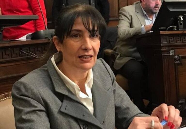 Militancia y organización para ponerle un límite a Milei