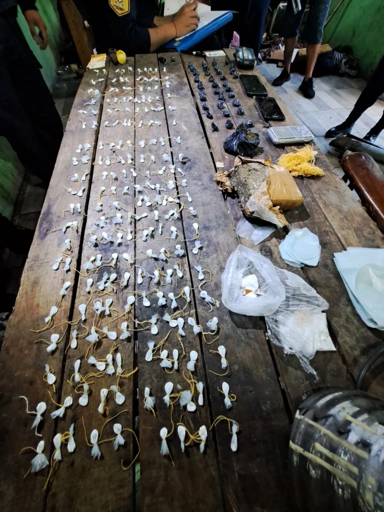 Siete Detenidos, secuestro de más 300 dosis de Cocaína y más de medio kilo de Marihuana