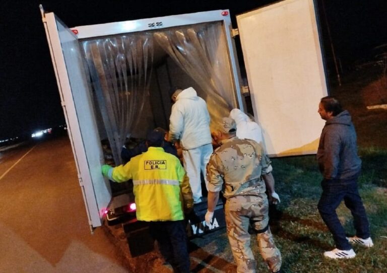 En Paso Cerrito decomisaron mil kilos de dorado transportados de manera ilegal