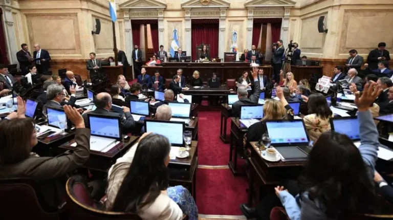 Otro golpe al Gobierno: el Senado ratificó las leyes vetadas sobre universidades y Garrahan