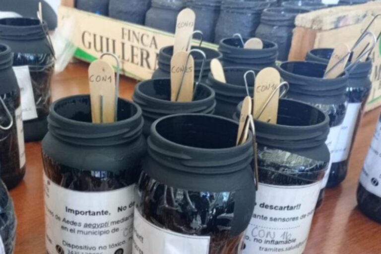 La Municipalidad duplicará las ovitrampas para evitar brotes de dengue en la ciudad