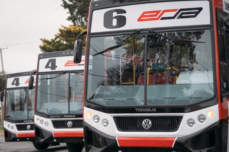 Elecciones: el transporte, gratuito en el área metropolitana