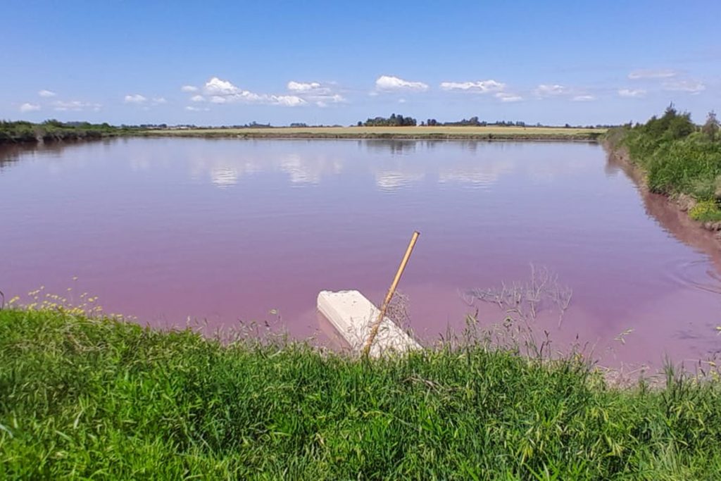 2324806-desde-el-gobierno-provincial-intensifican-el-monitoreo-ante-coloracion-inusual-en-arr6904327087008