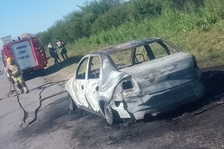 Sigue la pandemia del fuego: Un auto fue consumido por las llamas durante un incendio en plena Ruta 14