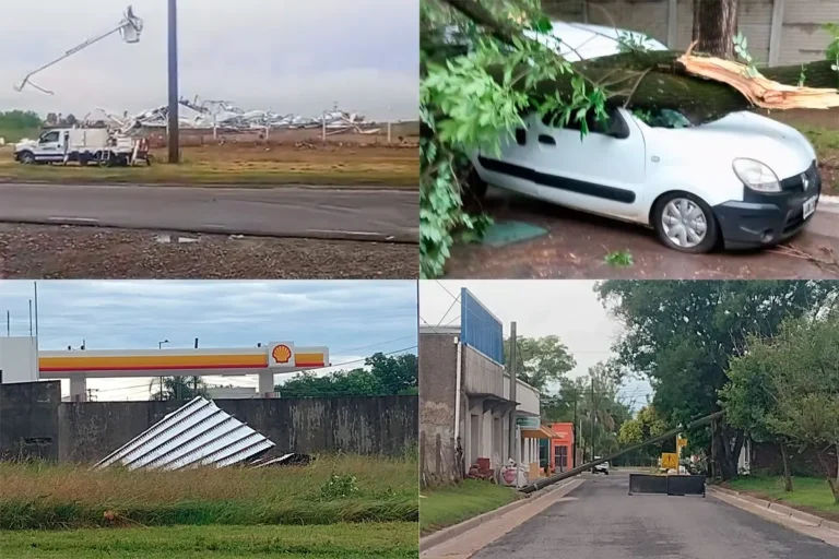 Las imágenes del temporal que azotó Entre Ríos: árboles caídos y autos afectados
