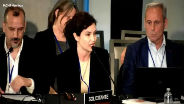 Periodistas denunciaron ante la CIDH los ataques del Gobierno contra la prensa y la libertad de expresión