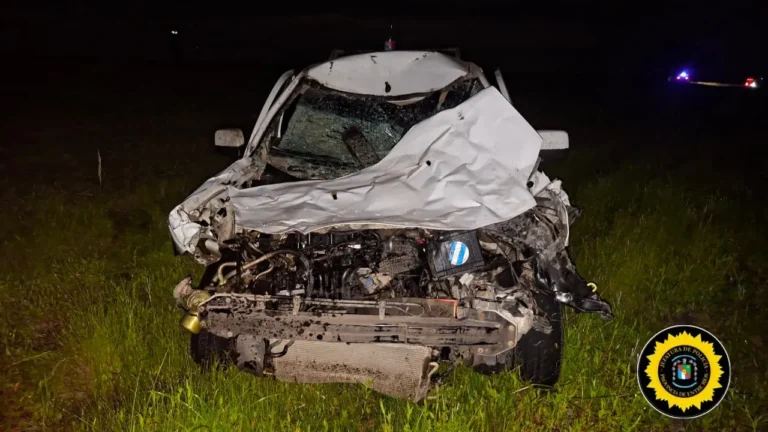 𝗖𝗔𝗕𝗔𝗟𝗟𝗢 𝗦𝗨𝗘𝗟𝗧𝗢 𝗦𝗢𝗕𝗥𝗘 𝗥𝗨𝗧𝗔  𝗣𝗥𝗢𝗩𝗢𝗖𝗢 𝗨𝗡 𝗧𝗥𝗘𝗠𝗘𝗡𝗗𝗢 𝗦𝗜𝗡𝗜𝗘𝗦𝗧𝗥𝗢 𝗩𝗜𝗔𝗟 𝗔 𝗙𝗔𝗠𝗜𝗟𝗜𝗔 𝗗𝗘 𝗖𝗨𝗥𝗨𝗭𝗨 𝘆 𝗟𝗔 𝗠𝗨𝗘𝗥𝗧𝗘 𝗗𝗘𝗟 𝗔𝗡𝗜𝗠𝗔𝗟