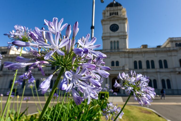 Gobierno dispuso asueto y receso administrativo por las festividades de fin de año