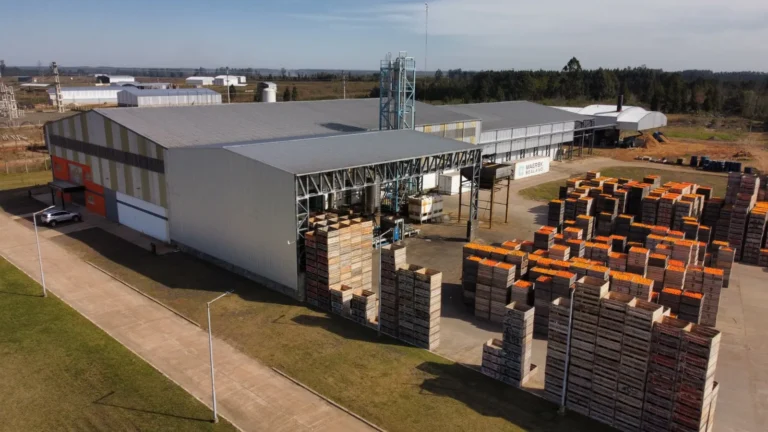 Partió el primer contenedor con jugo concentrado desde Mocoretá hacia el exigente mercado japonés