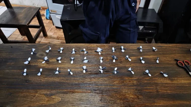 Un allanamiento derivado de un simple robo de cables terminó revelando una escena mucho más compleja en la tarde de ayer.