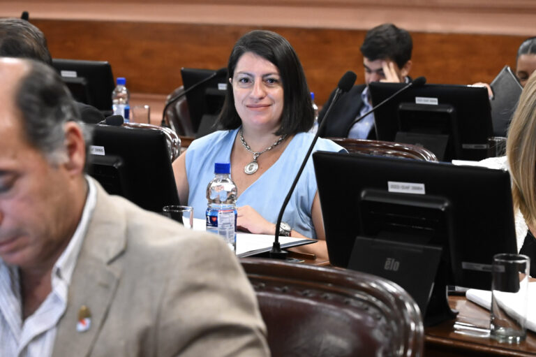 El juicio político a Susana Medina no avanzó por dar quórum el PJ, dice Laner