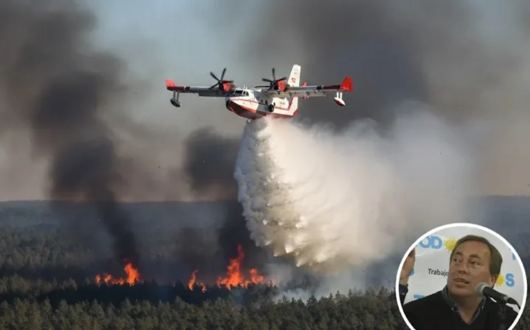 Incendios forestales: el exabrupto del diputado Martín Aveiro y su reclamo a Milei