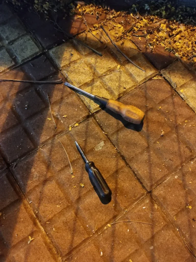 Dos hombres y una mujer intentaron robaron una moto en la esquina de la Departamental de Policía, fueron buscados y detenidos.