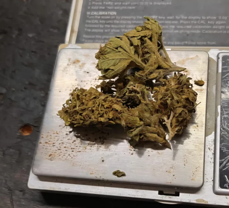 En un allanamiento por amenazas secuestran una réplica de pistola 9 mm. y un cogollo de marihuana.