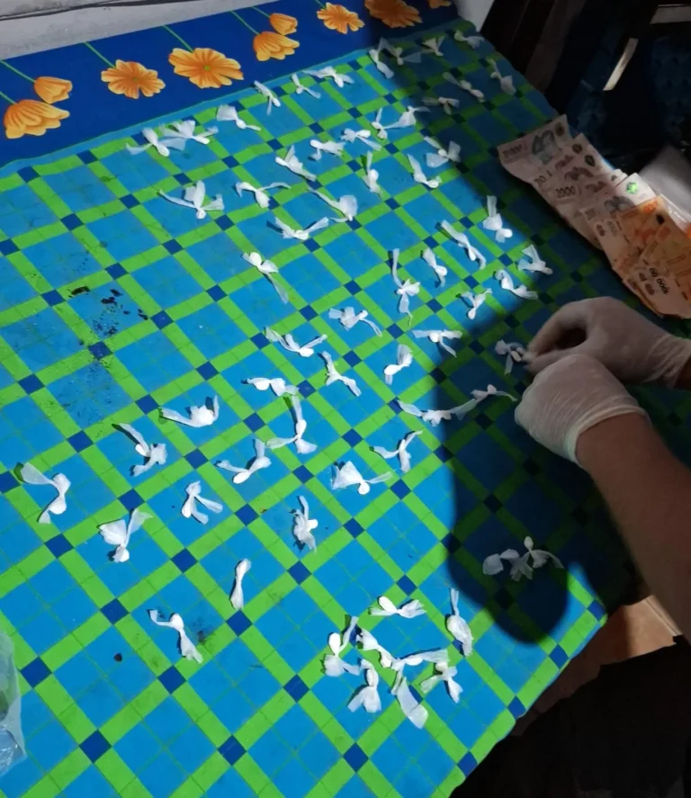 Detienen a una mujer que regenteaba un narcokiosco y secuestran drogas, una réplica de arma y dinero.