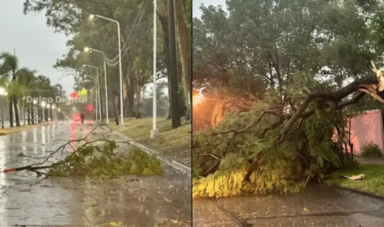Un temporal de lluvia y viento afectó a Villaguay