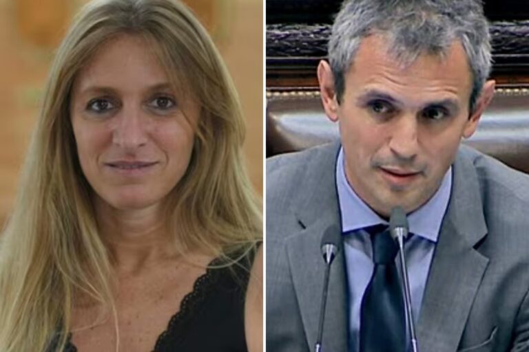 Martín Menem cuestionó a Carignano por  desenchufar los micrófonos en Diputados