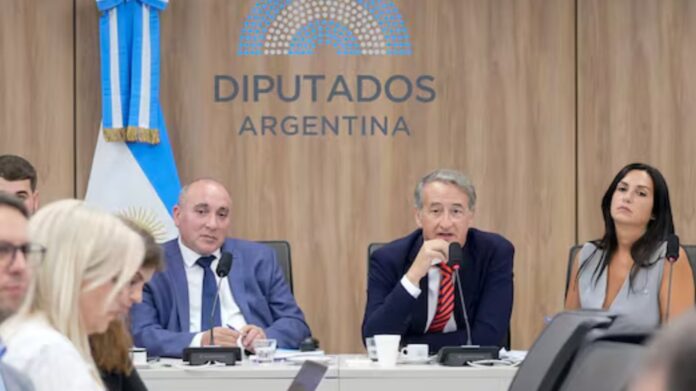 3109267-audiencia-por-ley-de-glaciares-con-mas-de-85-000-inscriptos-el-gobierno-no-deja-exponer-ni-al-05
