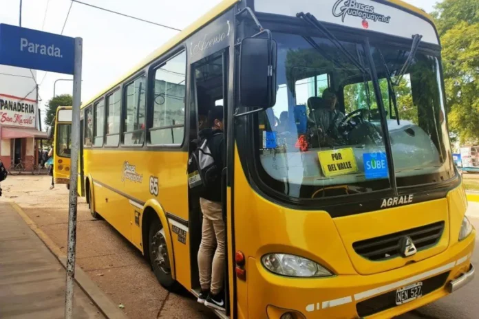 Colectivos de la línea urbana en Gualeguaychú