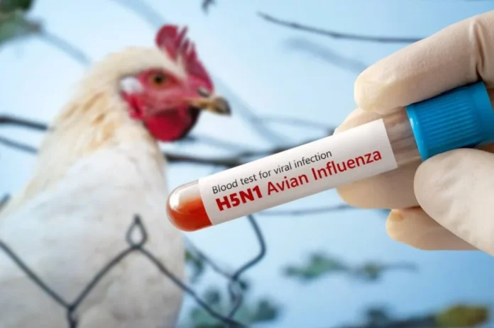 entre-rios-vigilancia-influenza-aviar-2026 Mapa de la región del Litoral con iconos de vigilancia sanitaria y aves, destacando la provincia de Entre Ríos.
