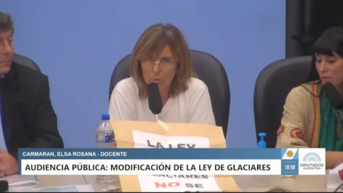 entrerriana-cuestiona-audiencia-ley-glaciares Ciudadana entrerriana participa en audiencia pública en el Congreso de la Nación.