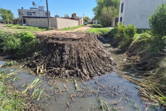 limpieza-cunetas-calle-cantera-mejora-drenaje-barrio-hipodromo-gualeguaychu Trabajos de limpieza y perfilado de la zanja en calle La Cantera, barrio Hipódromo, Gualeguaychú.