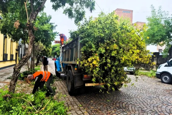 Trabajos de mantenimiento y limpieza en la calle Alem de la ciudad de Gualeguaychú, Entre Ríos.