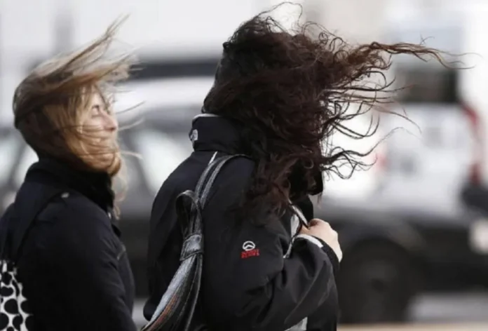 rafagas-viento-mas-80-km-h-entre-rios-domingo Árbol inclinado por el viento en un paisaje rural de Entre Ríos