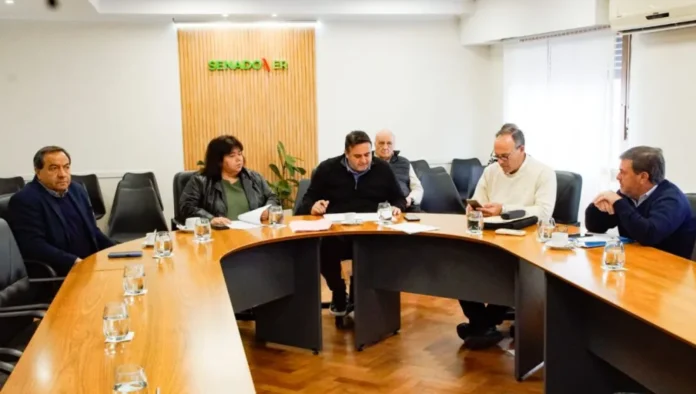 avanza-en-el-senado-proyecto-derogacion-pensiones-exgobernadores Senado de la Nación Argentina durante una sesión de la Comisión de Legislación General