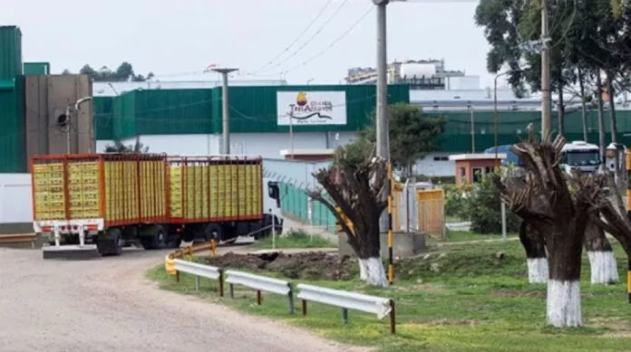continua-paralizada-la-faena-en-granja-tres-arroyos-por-salarios-adeudados Trabajadores de Granja Tres Arroyos en asamblea por salarios adeudados