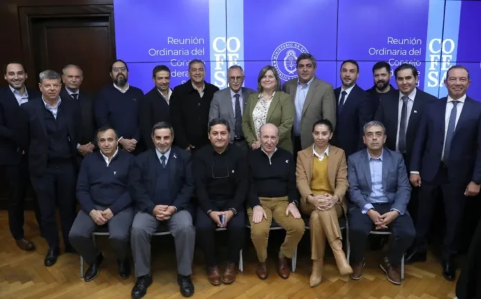 Reunión del Consejo Federal de Salud (Cofesa) con ministros provinciales