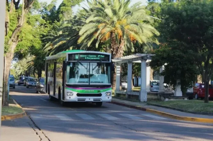 Colectivo urbano circulando en una ciudad del interior argentino