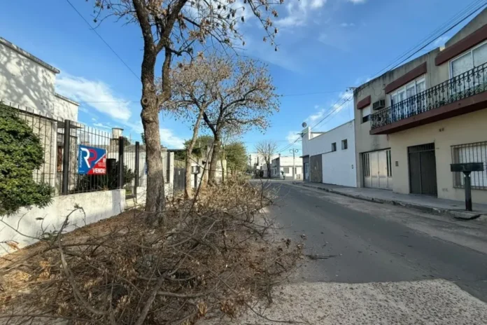 Cuadrilla municipal realizando poda invernal en calle 3 de Caballería, Gualeguaychú